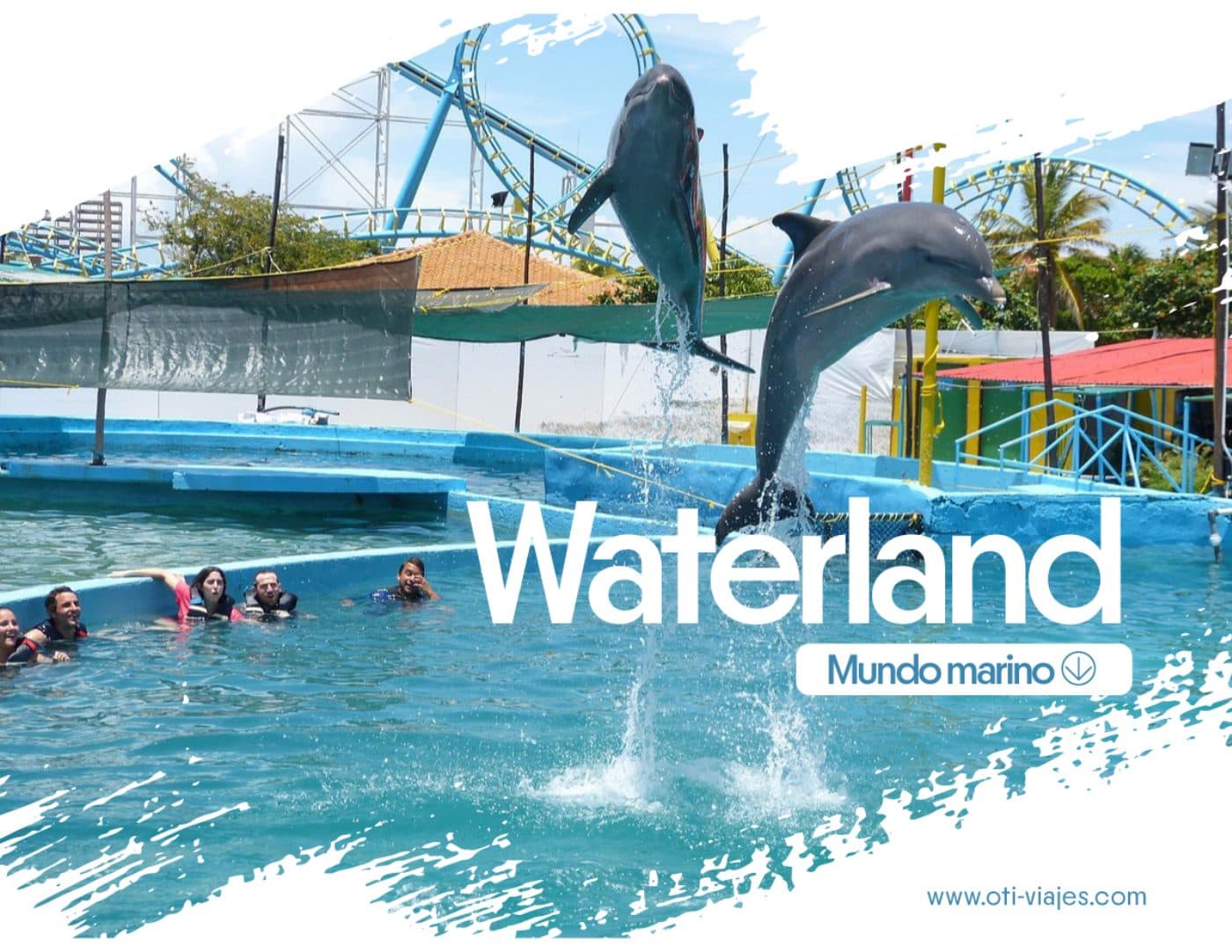 Waterland · Nado con Delfín — lámina 1 del catálogo