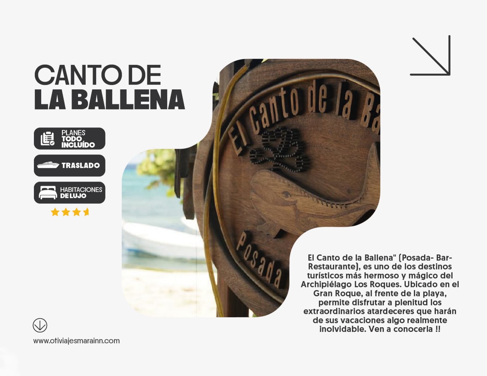 El Canto de la Ballena — foto 1